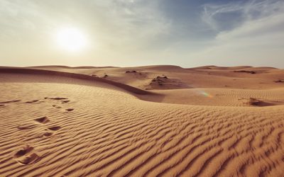The Gift of Disruption: Lessons from the Desert
