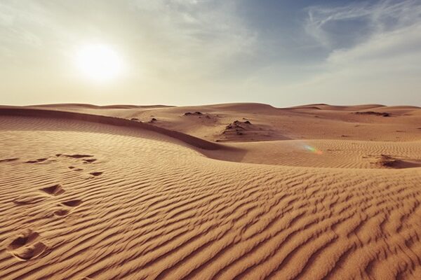 Desert