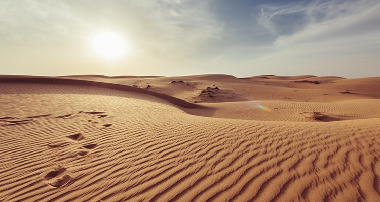 The Gift of Disruption: Lessons from the Desert