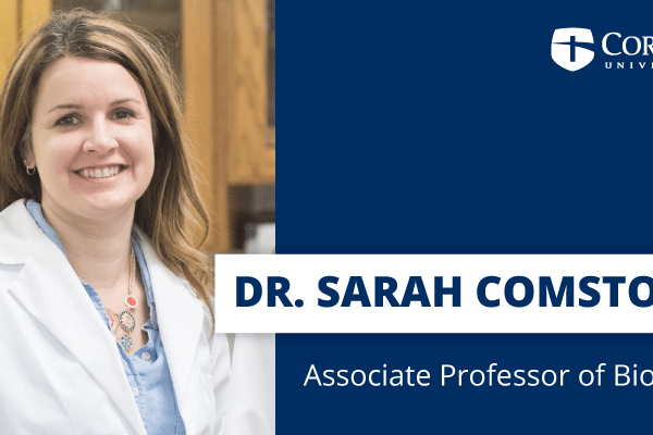Sarah Comstock Email Banner
