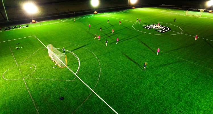 Physical Ed and Health