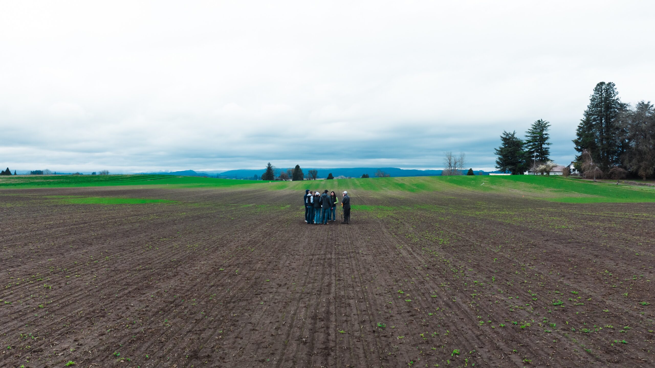Several individuals gathered in a crop field, standing in a circle and conversing.