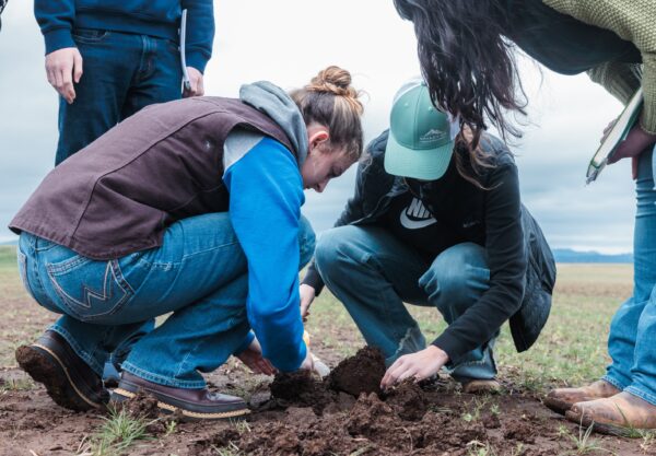 A group of students kneeling in dirt, engaged in an activity, with focused expressions on their faces.