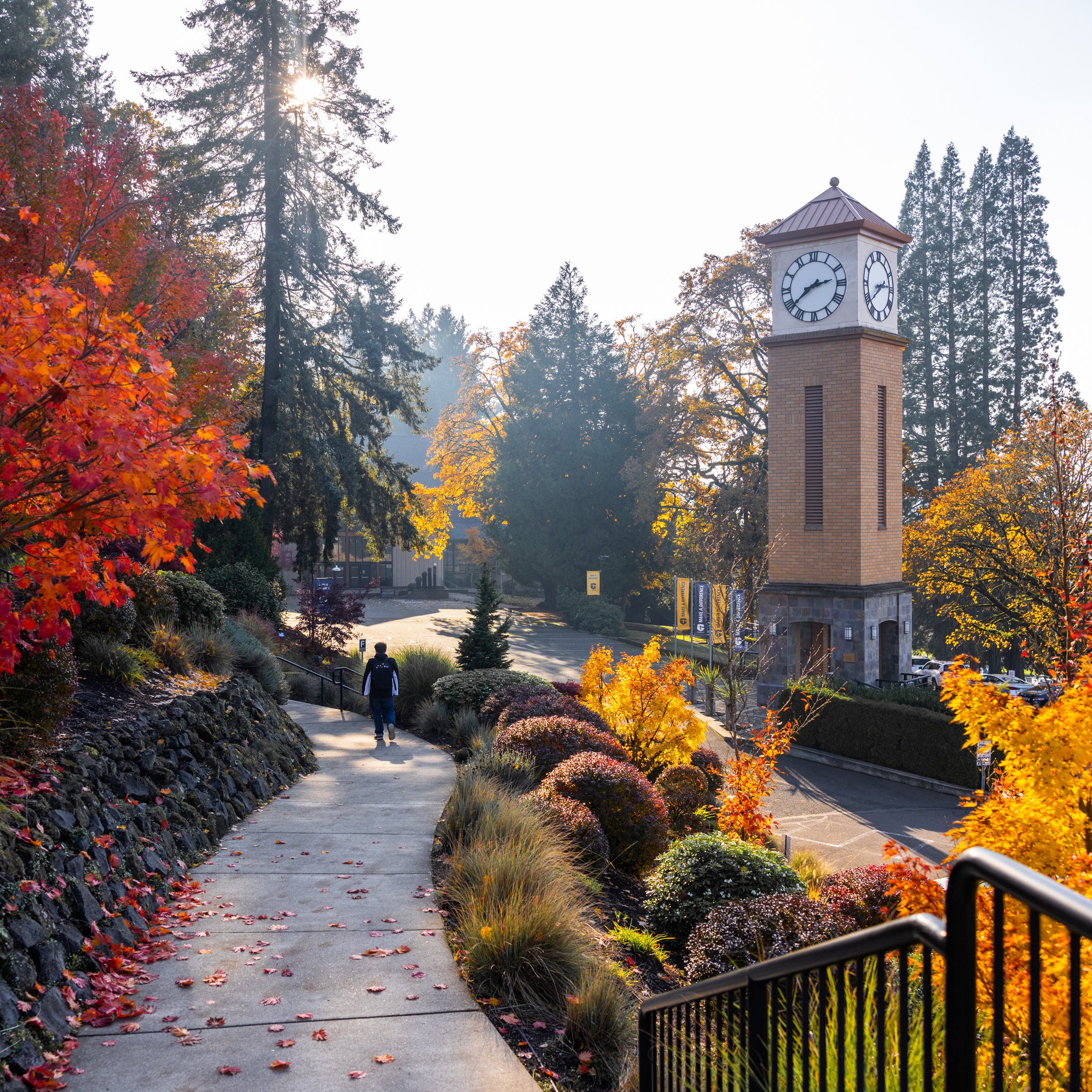 A smooth paved pathway with a clock tower visible in the background, framed by trees and open space.