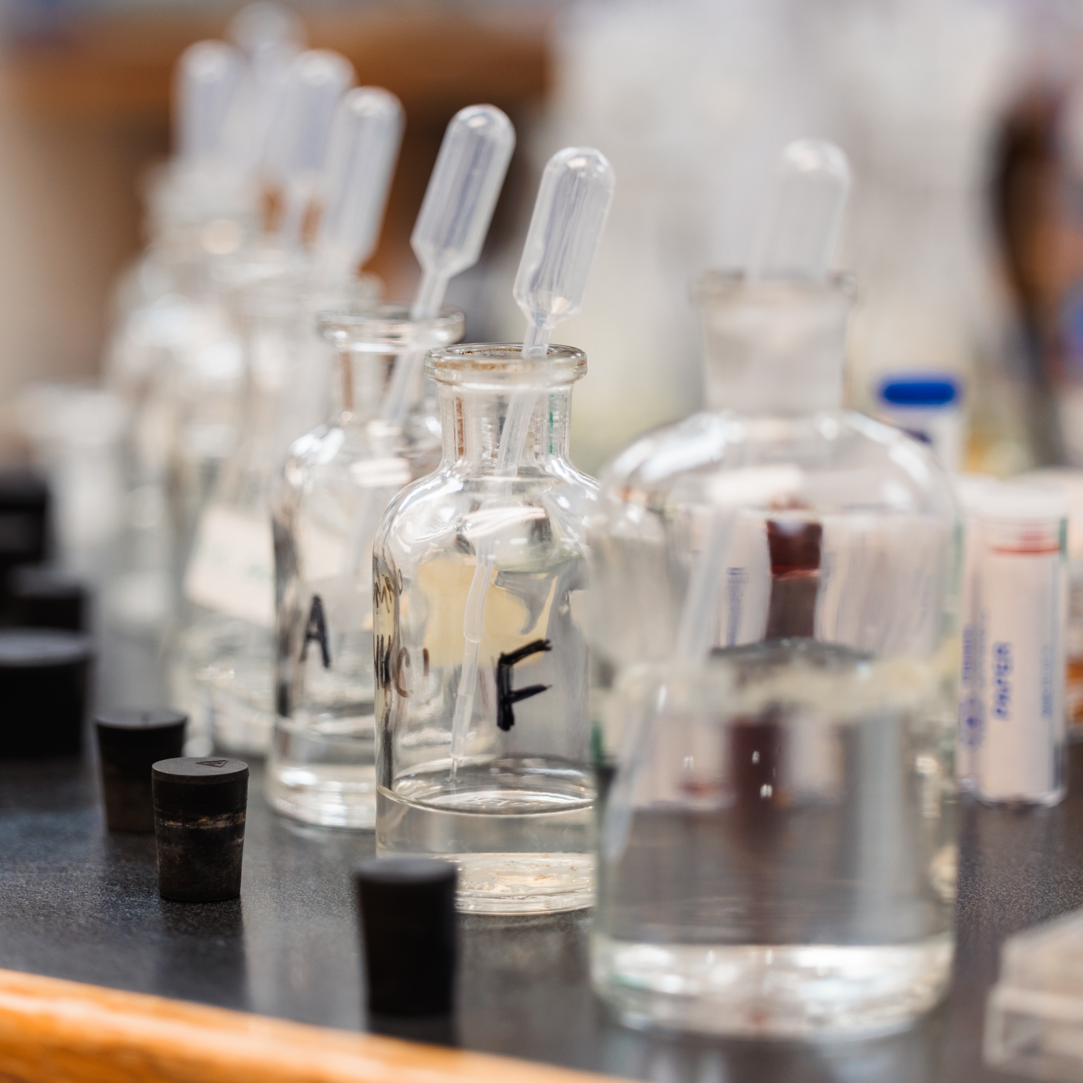 Several labelled bottles containing various liquids, displayed in a straight line on a table for an experiment.