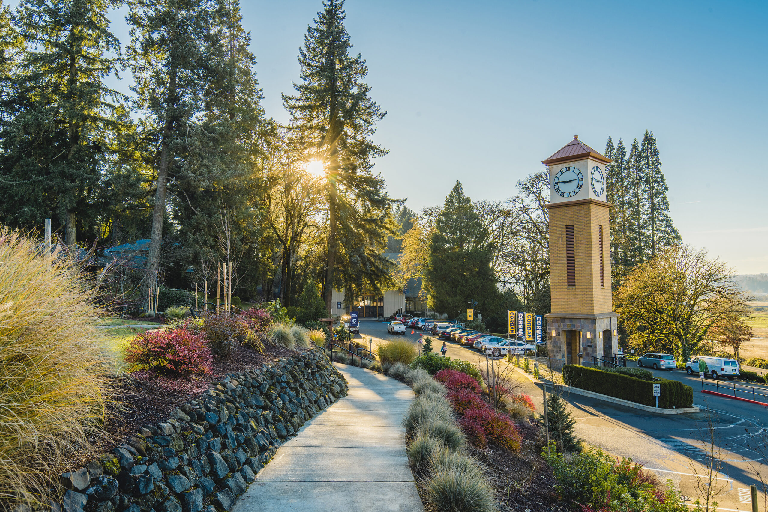 A smooth paved pathway with a clock tower visible in the background, framed by trees with a sunbeam shining through.