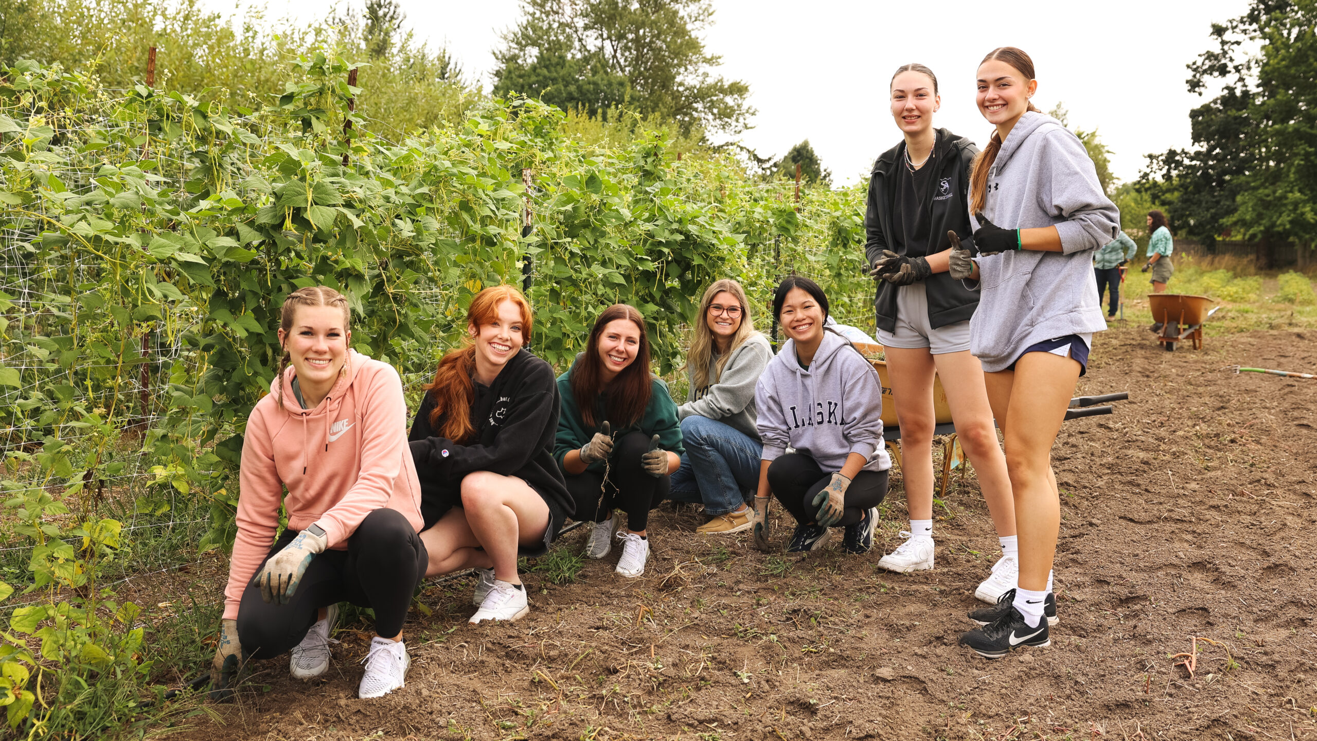 Fall Serve Day
