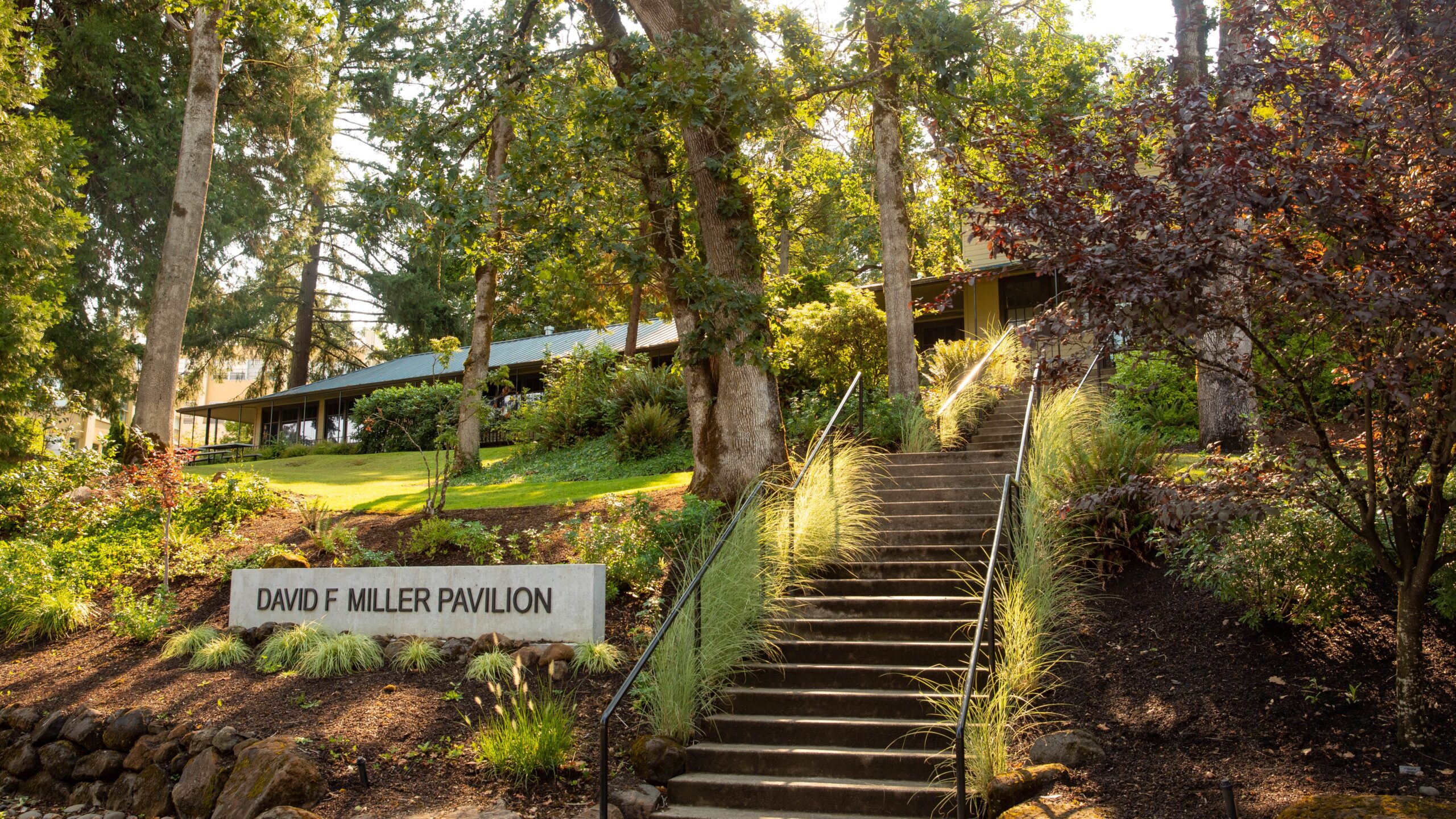 Stairway leads to the pavilion building surrounded by lush greenery and tall trees. A sign in front reads "David F. Miller Pavilion"